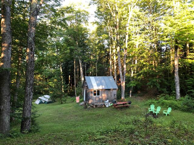 Wooded Campsite - Campsites for Rent in Greensboro, Vermont, United States