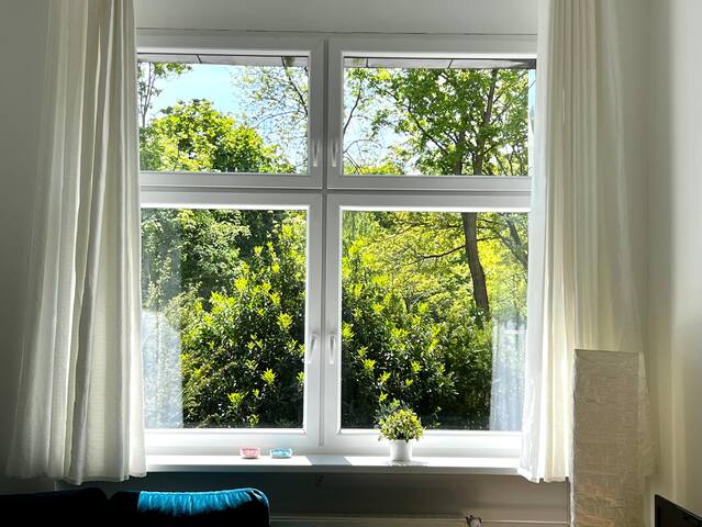 Spacious family-friendly apartment opposite park gallery image 2