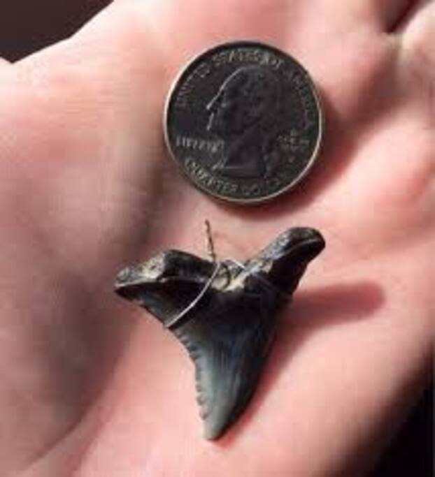 What you may find!!