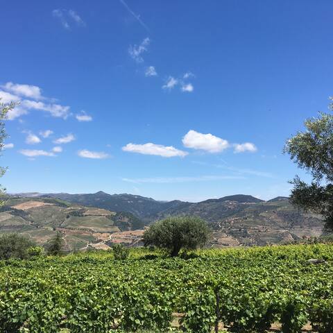 Villa in Aldeia in the heart of the Douro Vinhateiro