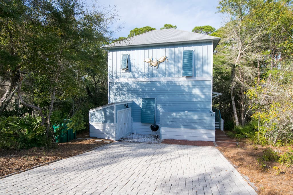 Forest, Grove, Land, Vegetation, Shack