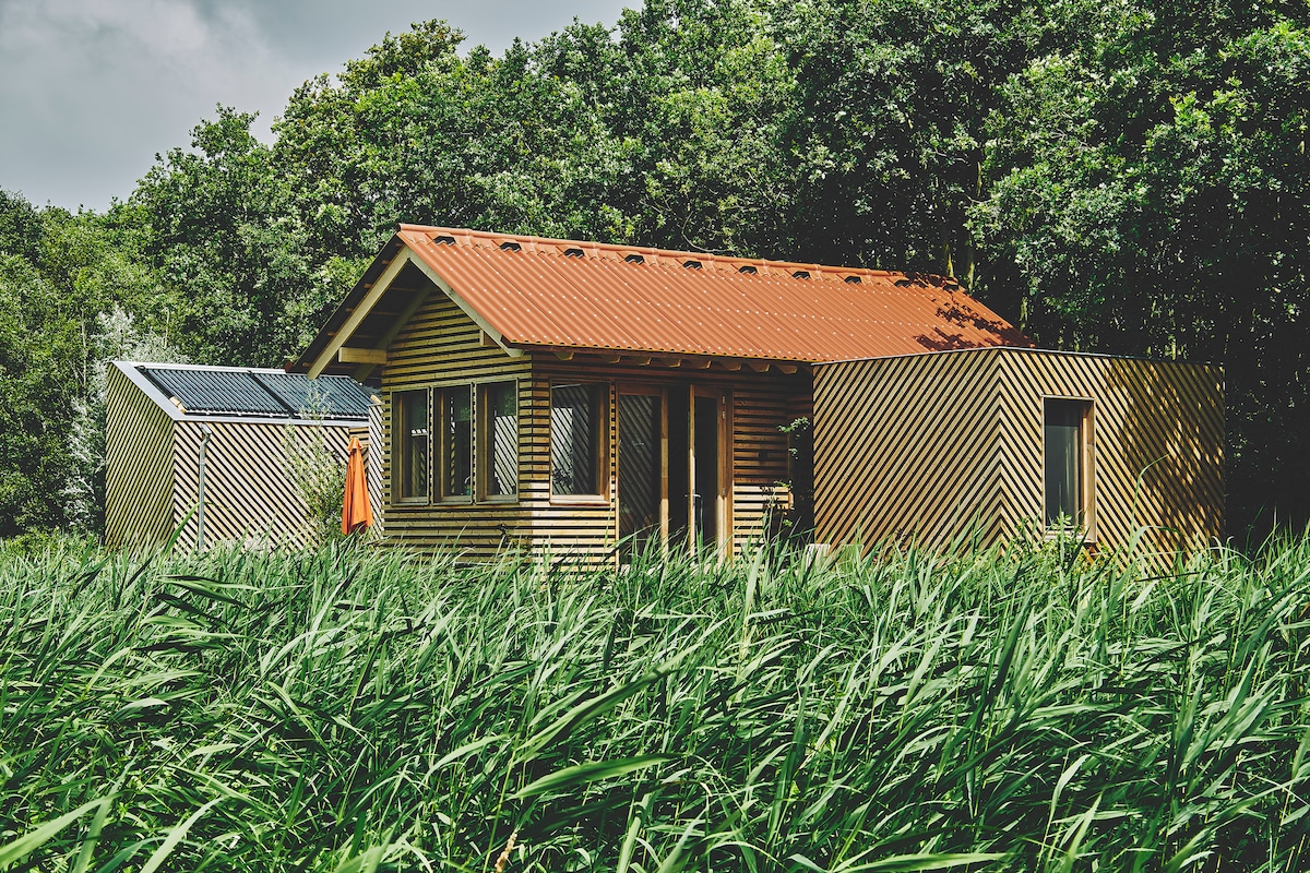 A circular wooden vacation home is nestled amid tall green grass and trees. The bright orange roof contrasts with the natural surroundings. Energy-efficient solar panels are visible on the roof, emphasizing the home's commitment to sustainability. Large windows allow for ample natural light.
