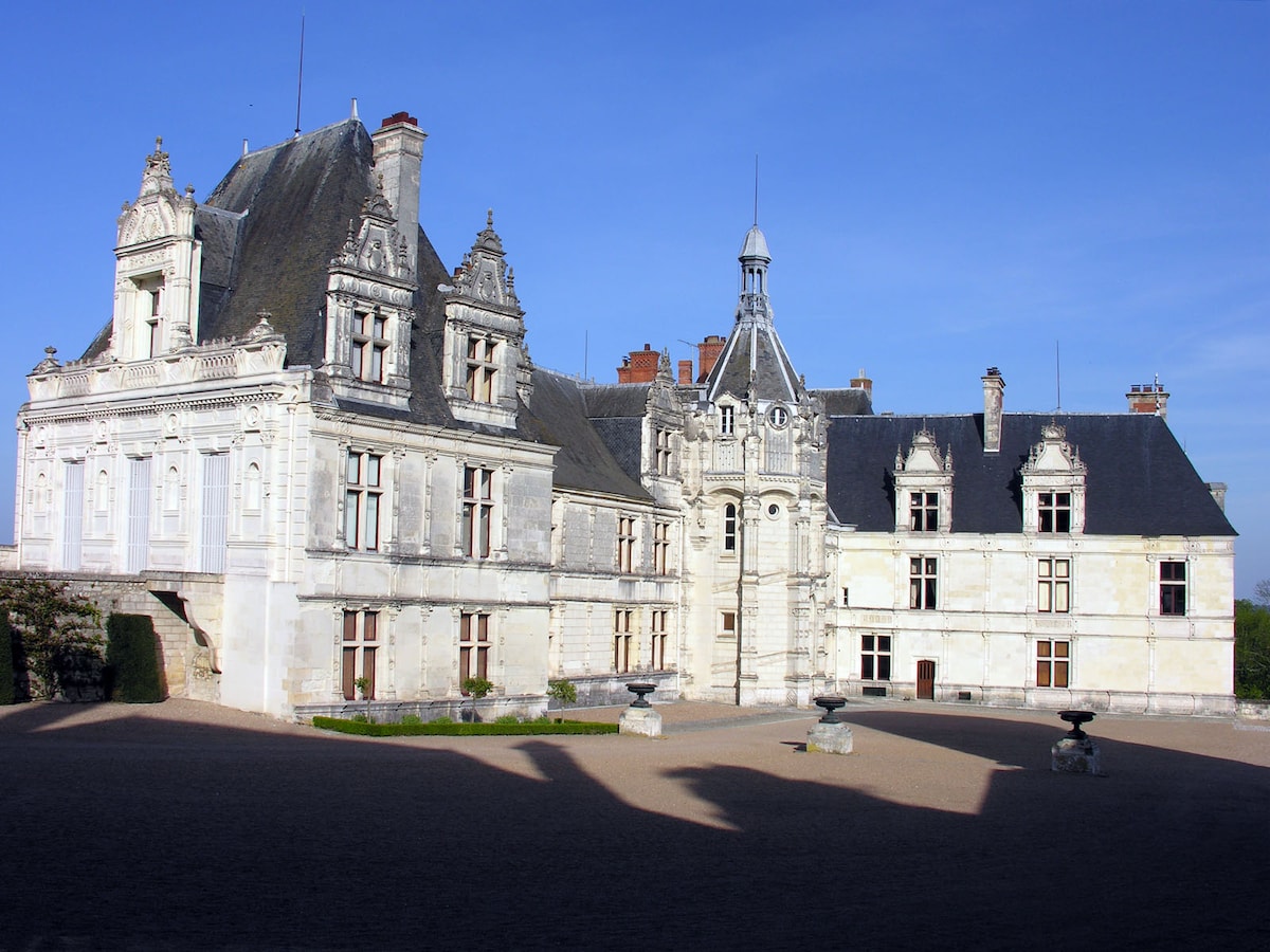 The image features a grand historical château, showcasing intricate stone architecture and various roofline designs. The structure is set in a spacious courtyard with stone urns positioned prominently, surrounded by well-maintained grounds under a clear blue sky.