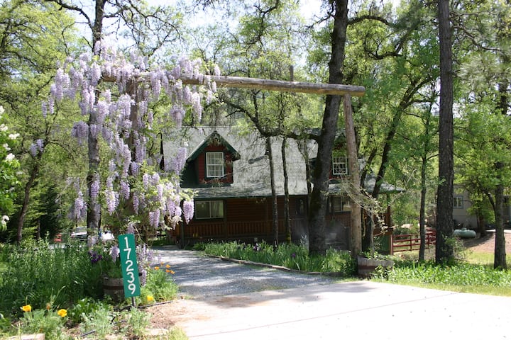 Airbnb Near Grass Valley Ca - 10 Best Glass House Airbnbs In The U S To Be Immersed In Nature : Dempster cottage on buckland estate dempster cottage was built in 1840 and is steep in history being part of the famous heritage listed buckland estate.