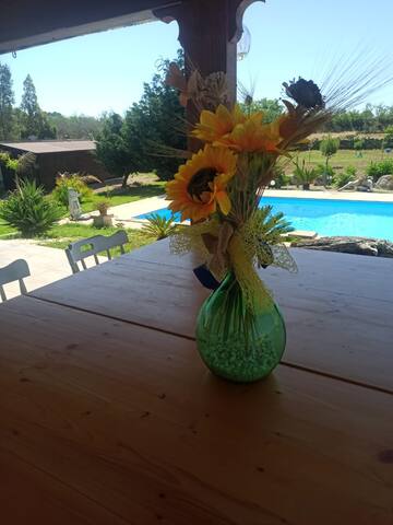 Salento villa con piscina gallery image 5