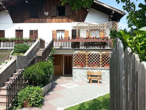 Trentino - Mountain Home