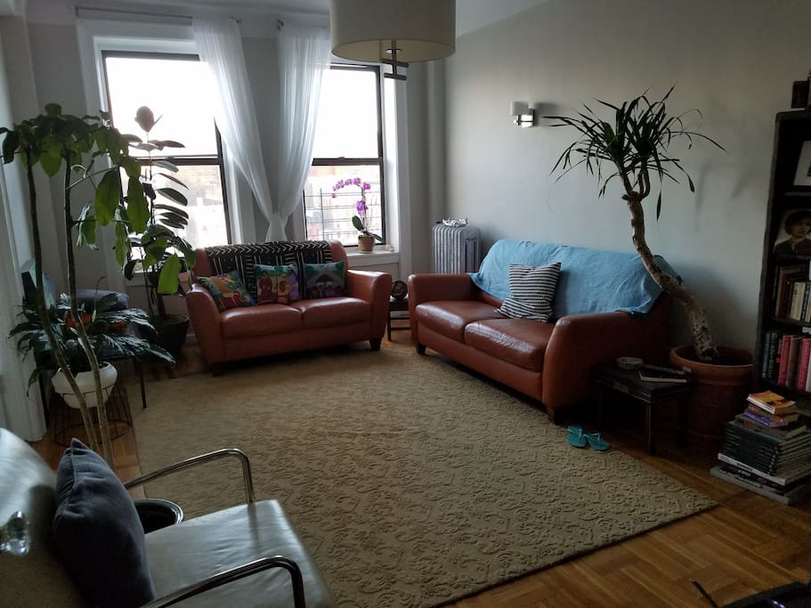 Living room.