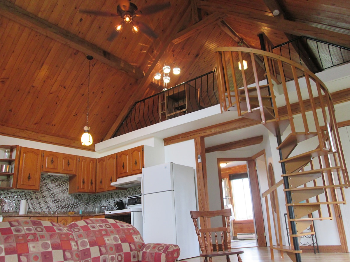 L'Appart de la Rivière Chicoutimi Apartments for Rent in Saguenay, Québec, Canada Airbnb