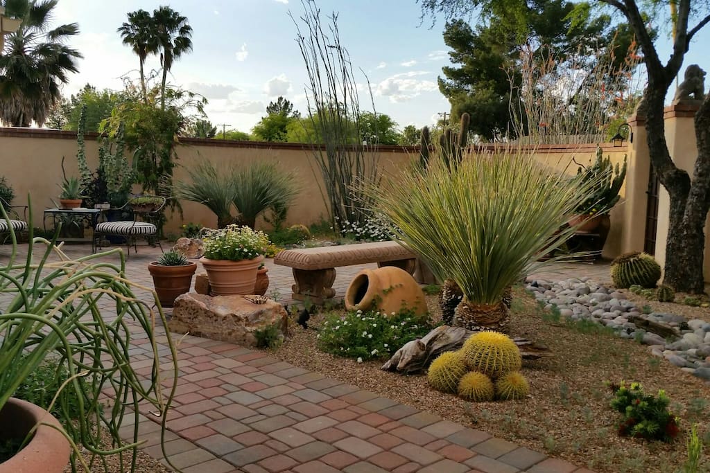 A great sampling of the Sonoran desert's beauty!