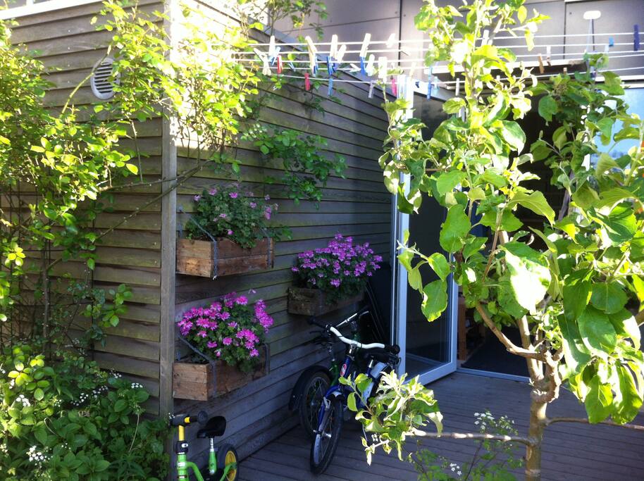 Terrace in front of the house