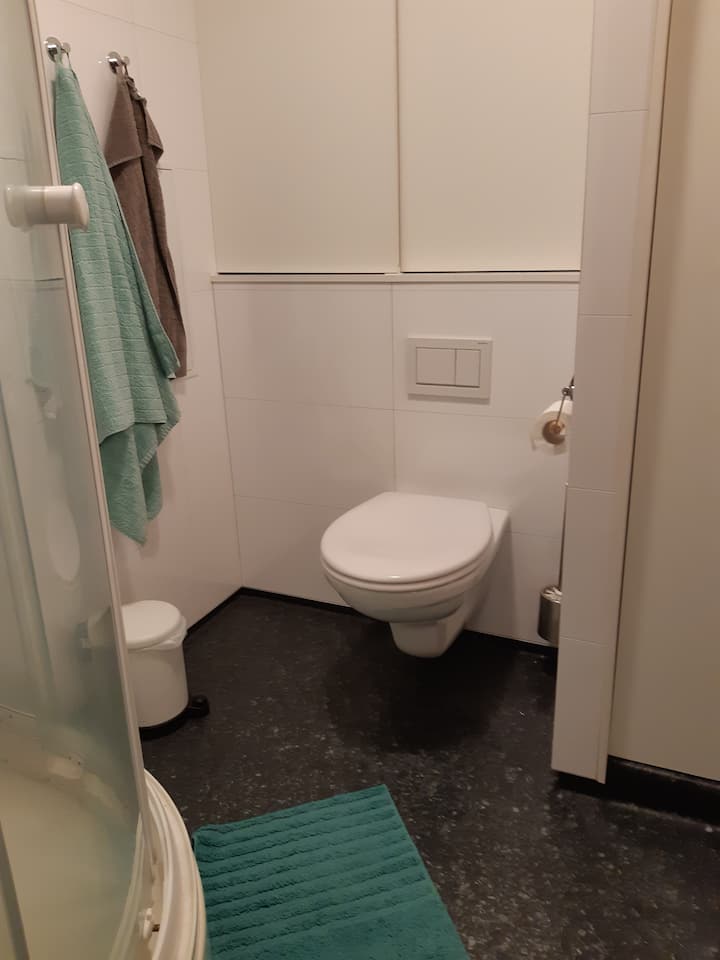 Cozy basement living room with private bathroom and private entrance