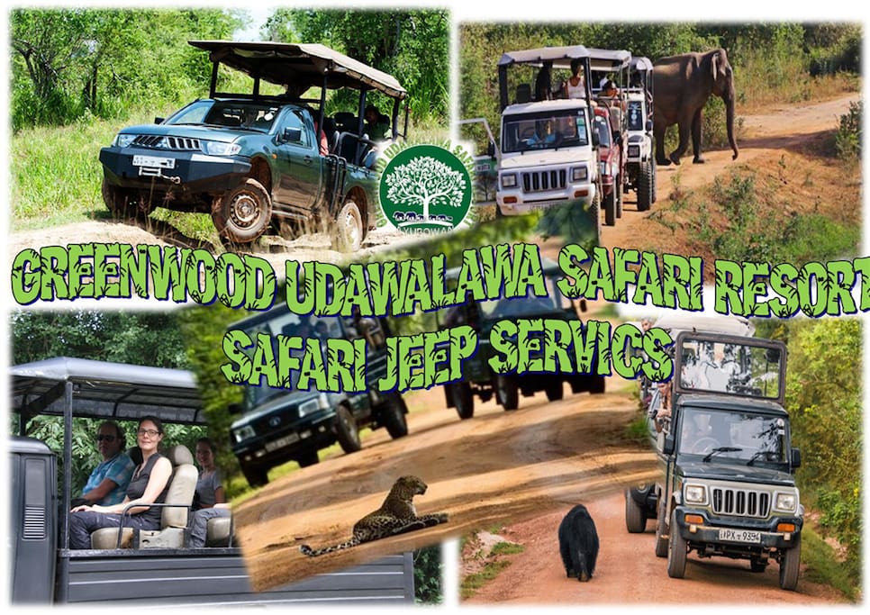 GREENWOOD SAFARI JEEP SERVICE