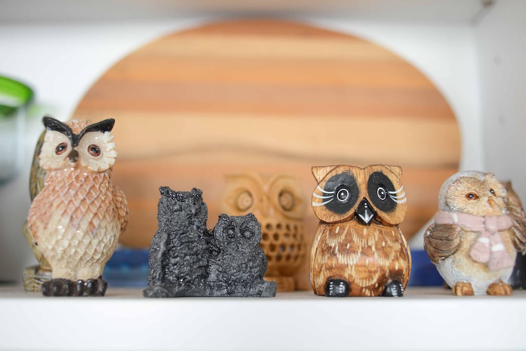 Owls