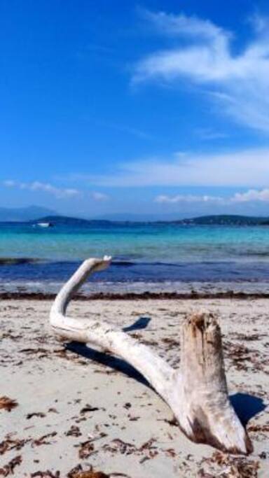 plage mare sole