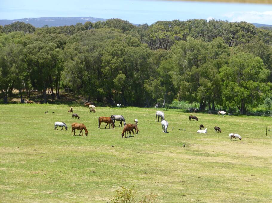 Neighbours...