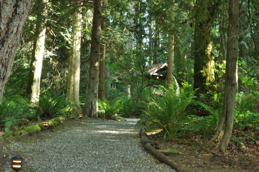 Lit trail up to cabin.