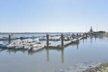 Casa Golfinho (Sul) - Costa Nova