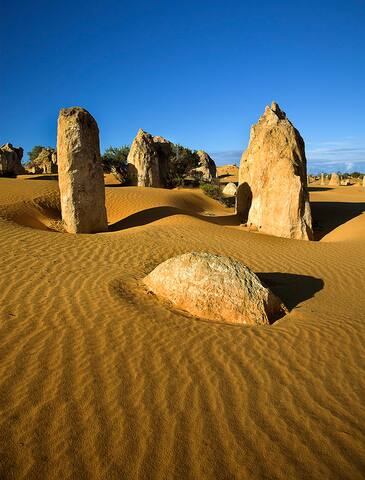 Moore River Holidays Farm backs onto Moore River. gallery image 3