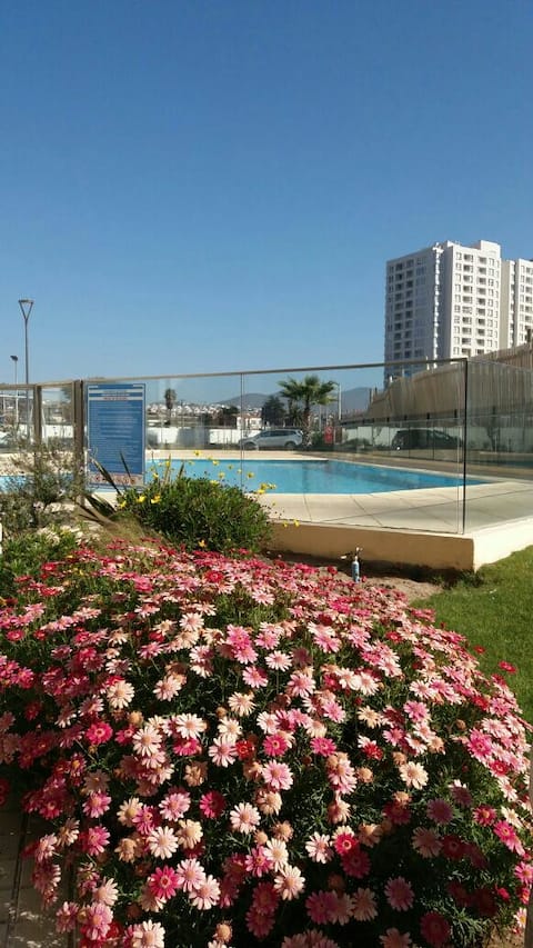 Departamento La Serena Available