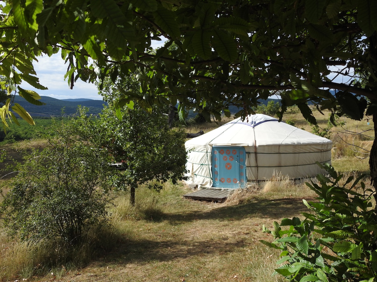 A traditional yurt is nestled among greenery, with a bright blue door decorated in orange patterns. Surrounding grass and trees frame the structure, while rolling hills are visible in the background, creating a serene outdoor setting.