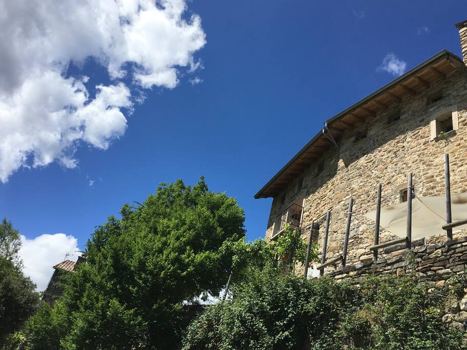 Haus
