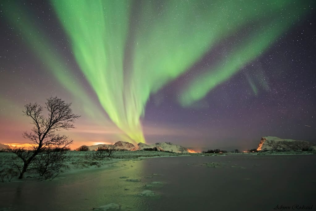 På vinteren kan man oppleve nordlys i nærområdet.
In the winter you can experience northern ligths in this area.