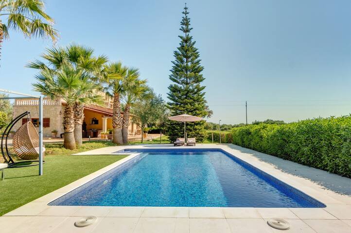 Es Vinyo gallery image 2