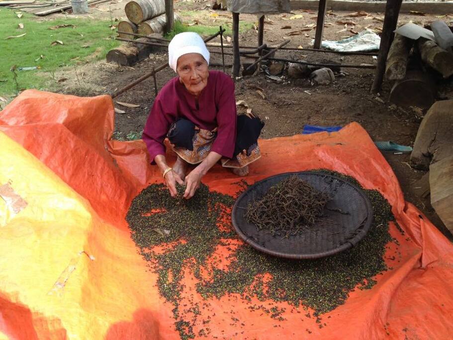 The host is processing black pepper