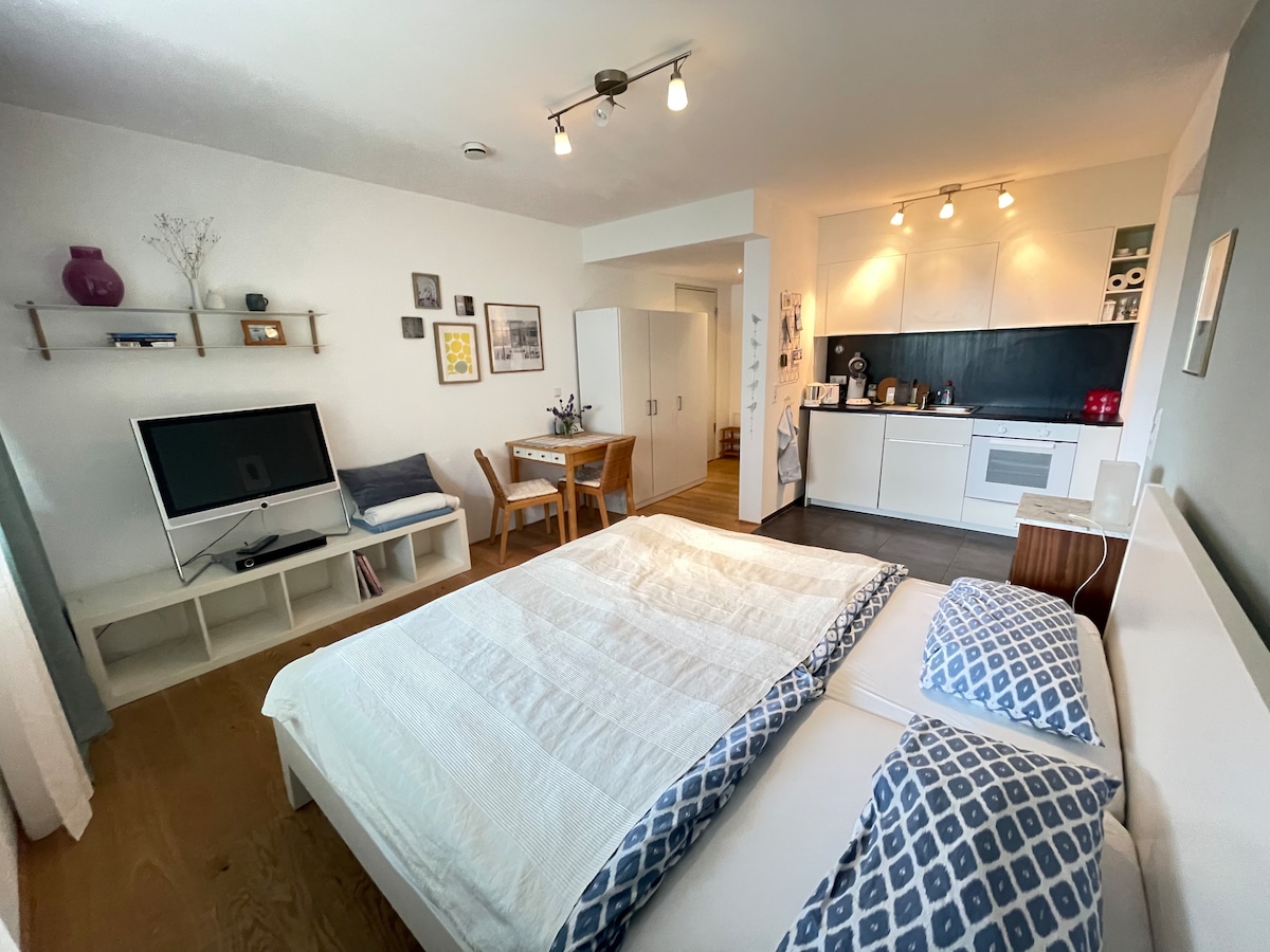A spacious room features a comfortable bed with a light blanket. A dining table with chairs is positioned nearby, and a kitchenette is visible against the wall. Shelves hold decorative items and a television stands on a unit. Bright lighting illuminates the space.