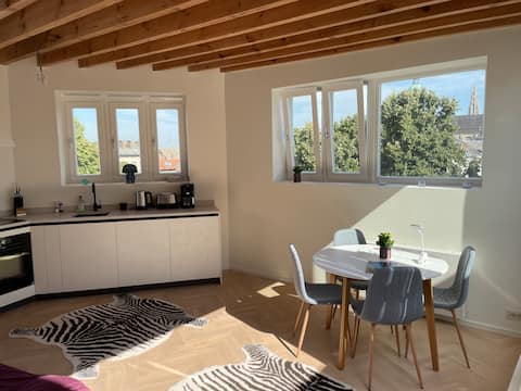 Unique Penthouse in City Center (with Terrace)
