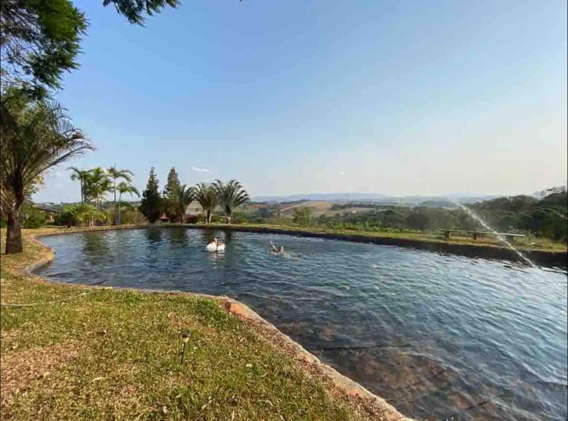 A calm swimming pool is framed by lush greenery, with palm trees and open spaces visible in the background. The landscape features rolling hills under a clear sky, providing a serene and expansive outdoor setting.