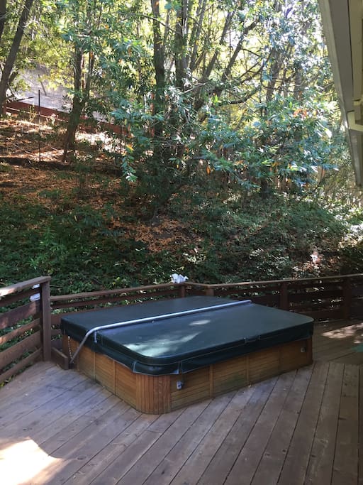 Hot Tub ( w/great jets!)