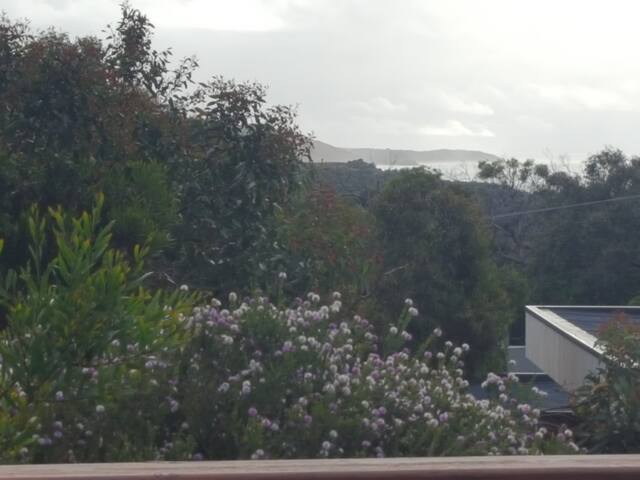 Extra Large Beach House gallery image 5