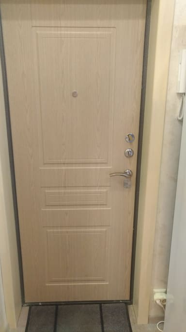 The door in the flat