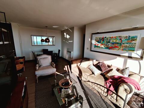 Top notch apartment in Chillan