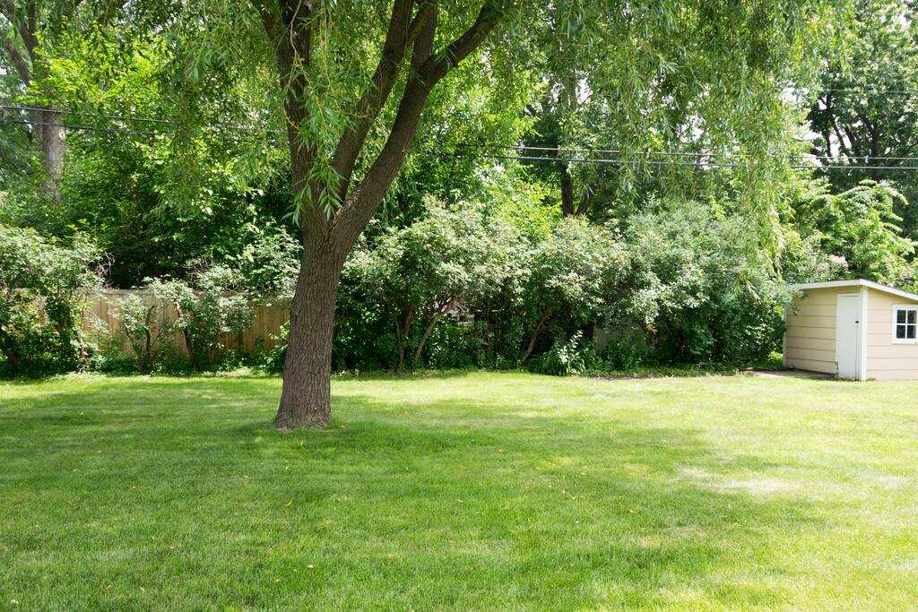 big back yard