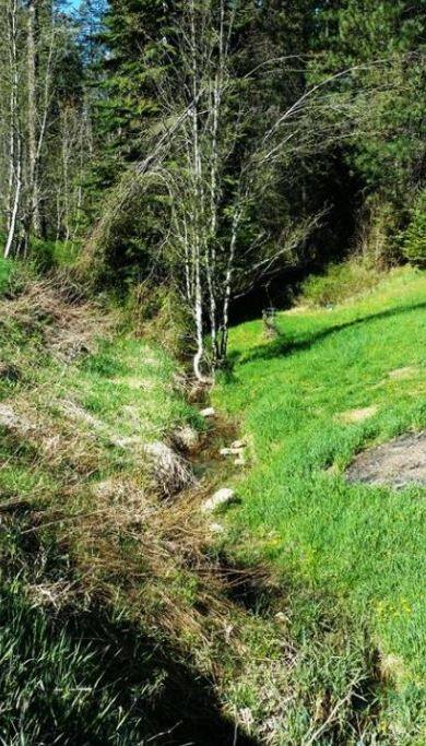 Our babbling brook