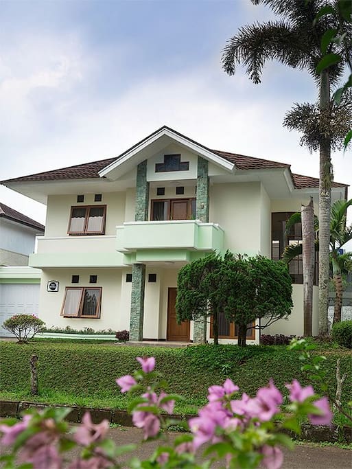 Front View