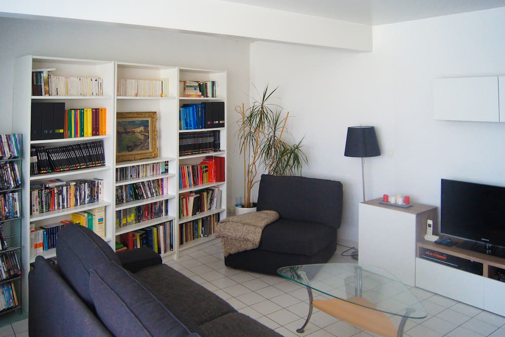 Living room view with the library and a rich dvd collection
