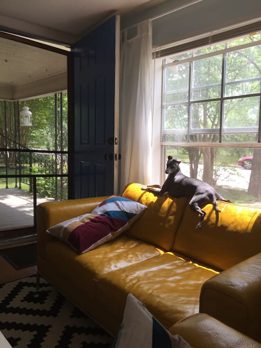 dining and living room with queen easy plug in blow up mattress and home entertainment / pup not included :)