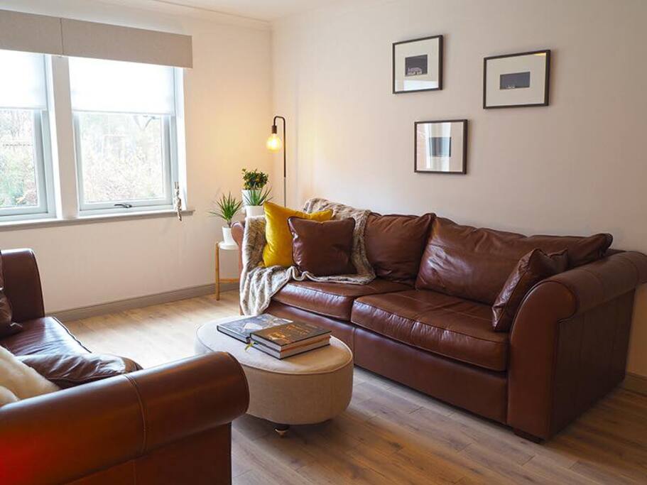 Large comfy sofas in the living room