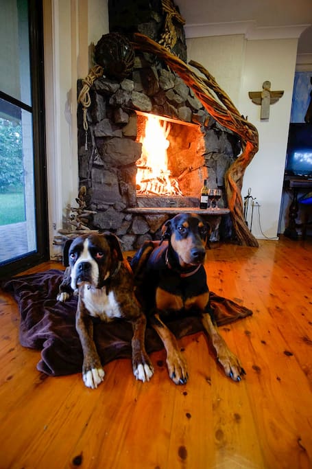 Dog friendly inside too - including in front of the open fire. Sea Horse Diamond Beach