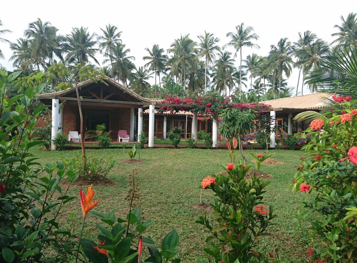 The exterior of the house is surrounded by lush greenery and vibrant flowers, presenting a serene landscape. Palm trees tower in the background, enhancing the natural setting. The structure features a welcoming porch area with chairs, adding to the relaxation space.