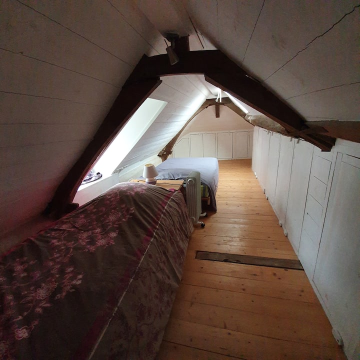 Chumba cha kulala chini ya dari na vitanda 2 vya mtu mmoja