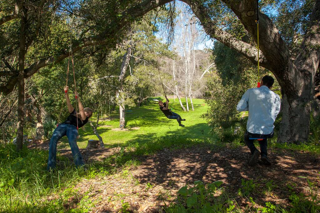 Tarzan Rope, tons of tree swings