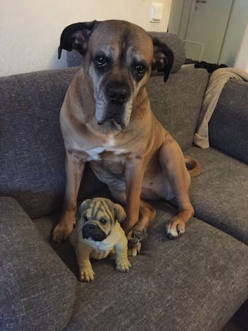 Airbnb Rimbo Vacation Rentals Places To Stay Stockholm