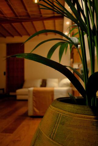 Little hidden paradise in Athens gallery image 4