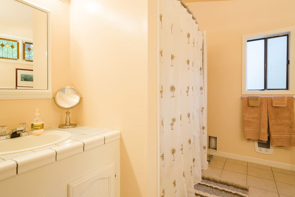 Master bath with shower and tub.