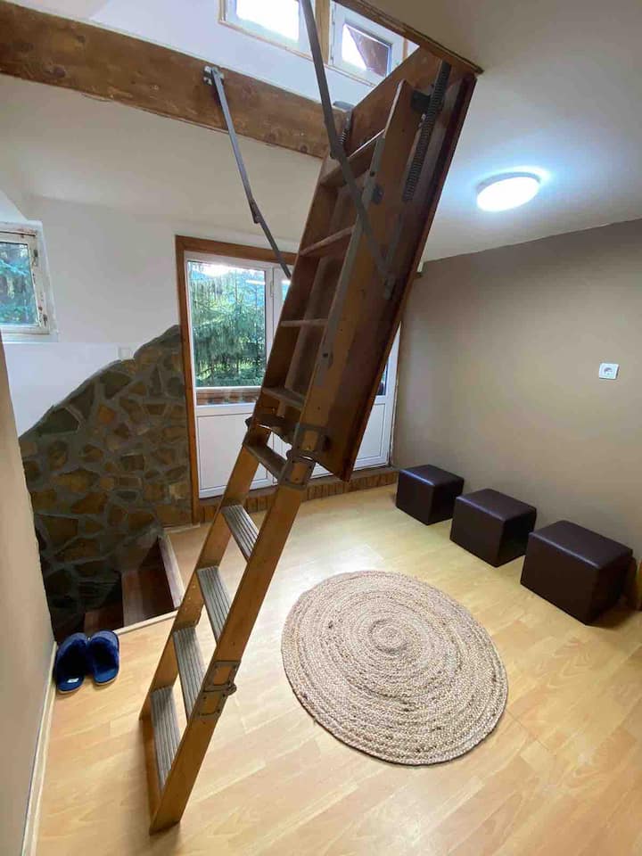 Bedroom 5