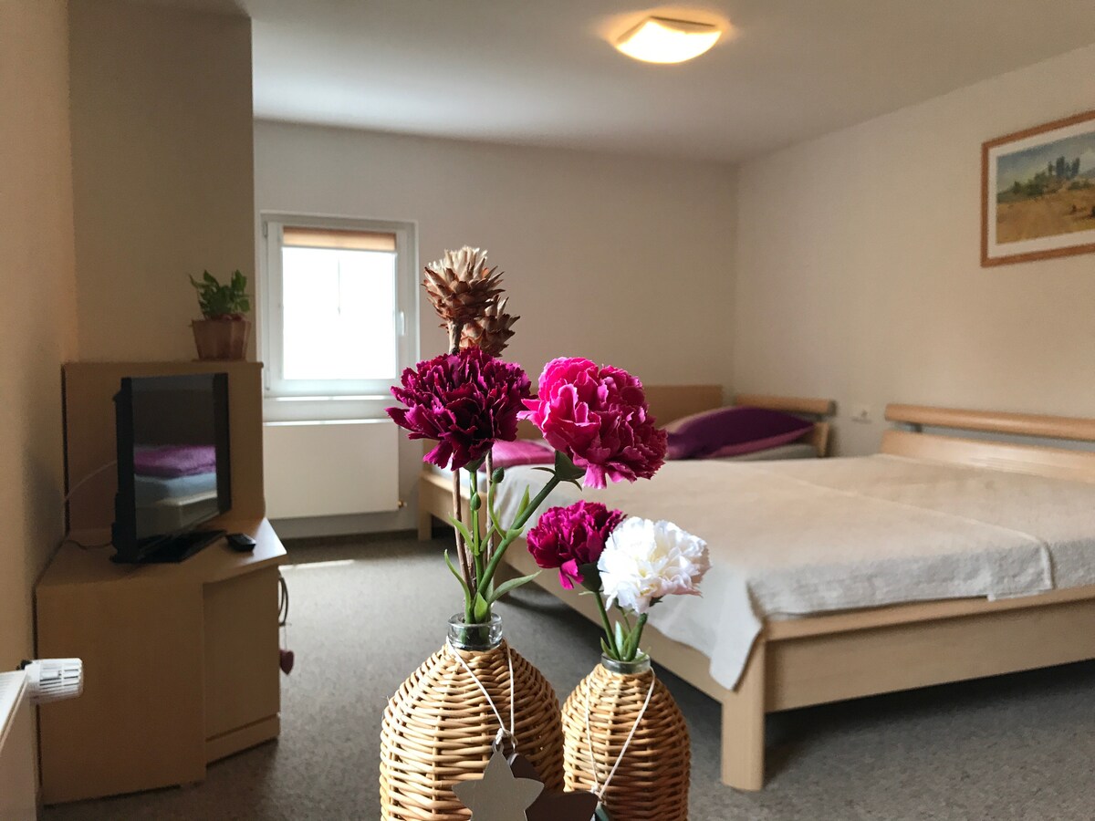 Wohn-/Schlafzimmer mit großem Doppelbett und Einzelbett